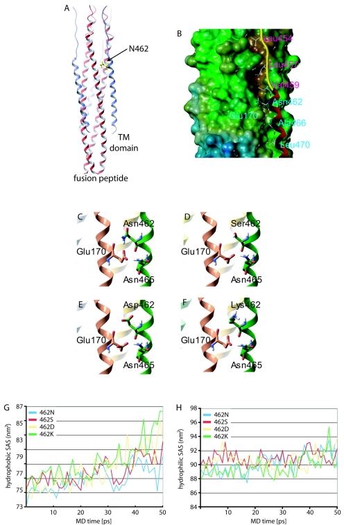 FIG. 2.