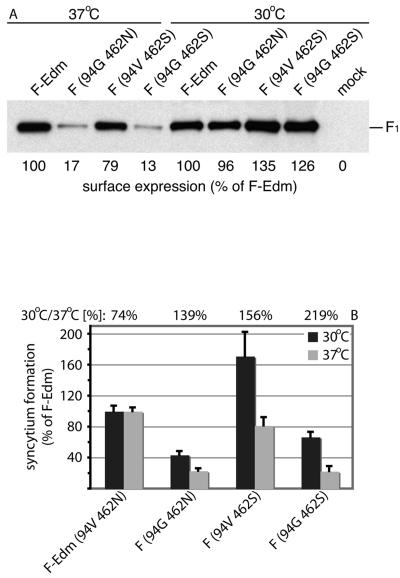 FIG. 5.