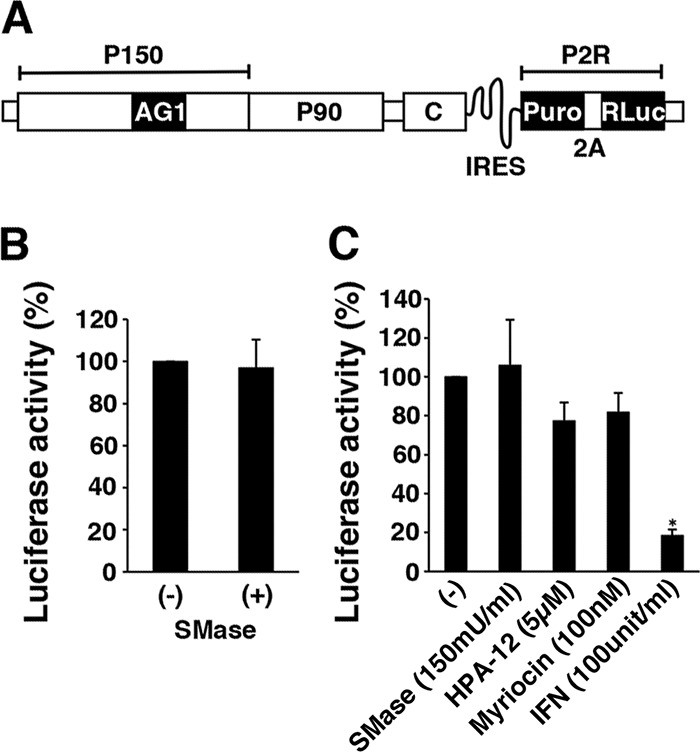 FIG 2