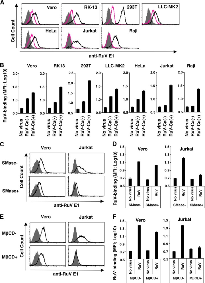 FIG 3