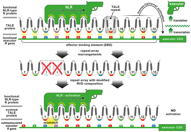 Figure 4