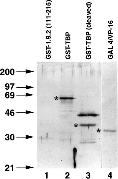 FIG. 6