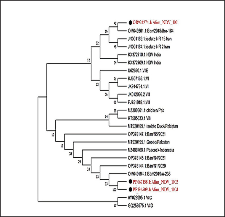 Figure 4.