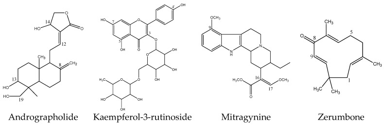 Figure 8