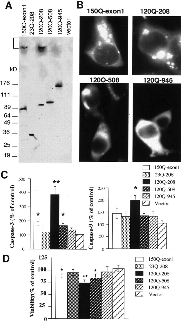 Fig. 8.