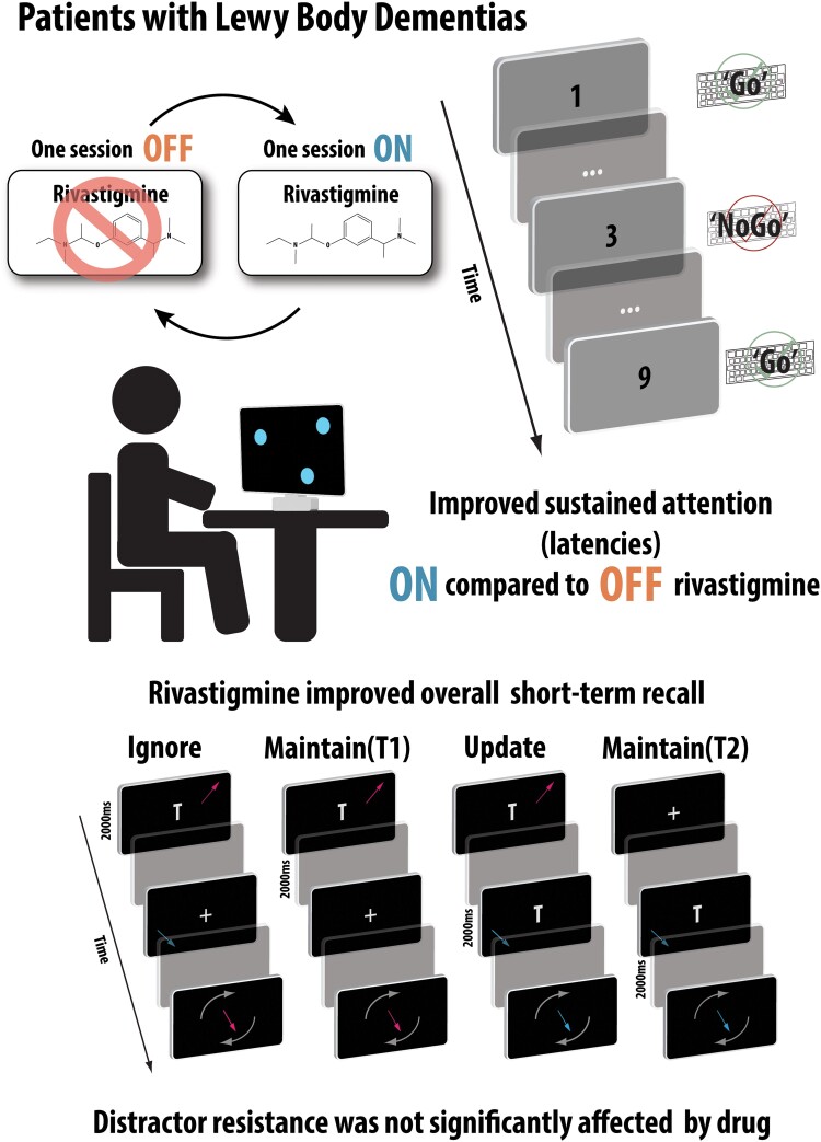 Graphical abstract