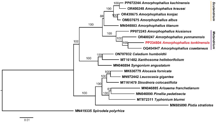 Figure 3.