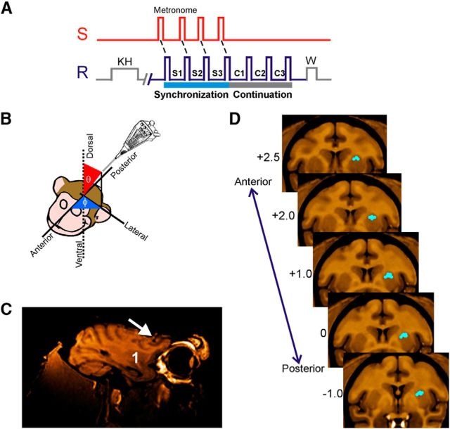 Figure 1.