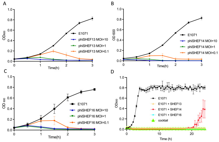 Fig 6