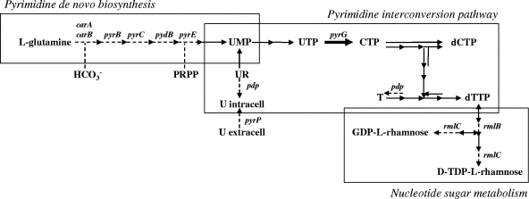 FIG. 4.