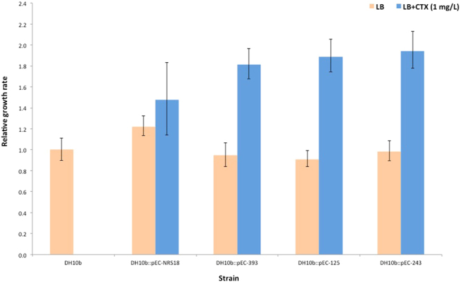 Figure 5