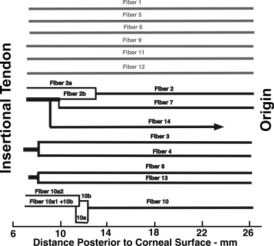 Figure 10.