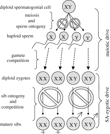 Figure 1.