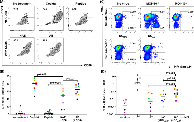 FIG 6