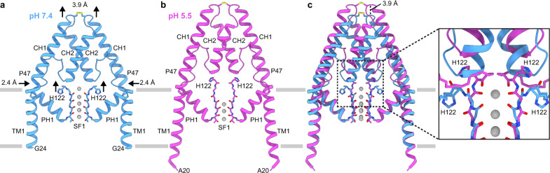 Fig. 4
