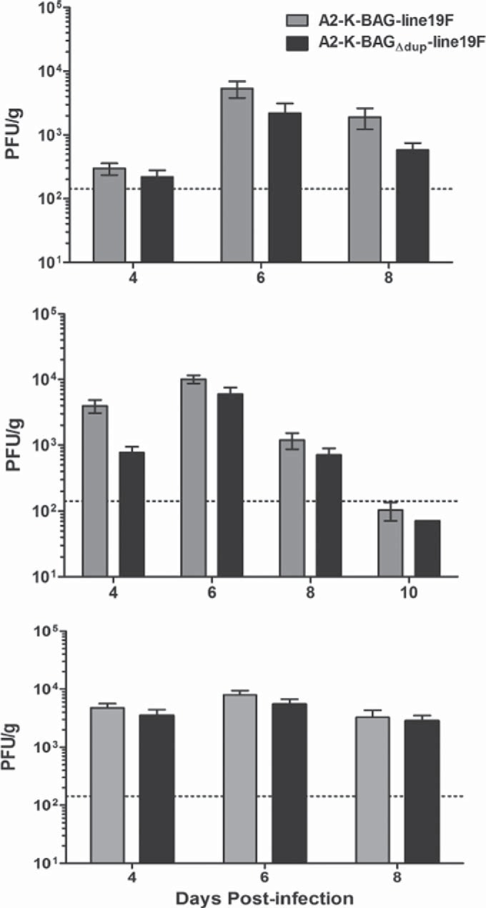 FIG 6