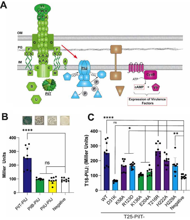 FIG 4