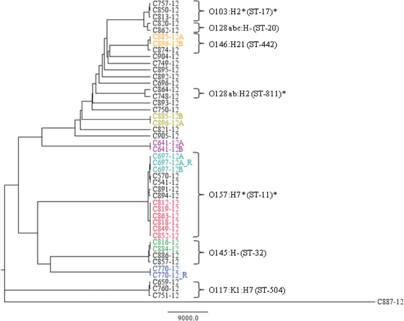 FIG 1