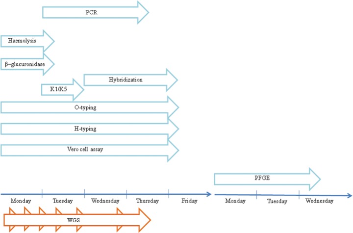 FIG 3