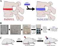 graphic file with name JSP2-8-e70073-g003.jpg