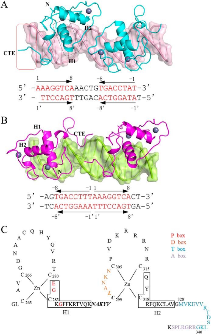 Figure 2.