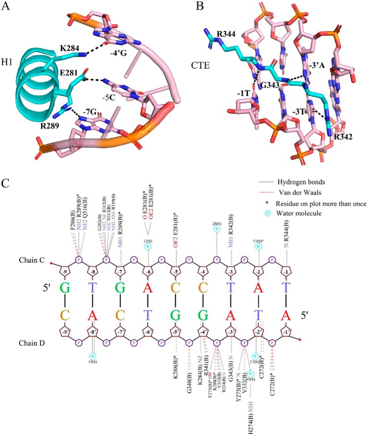 Figure 3.