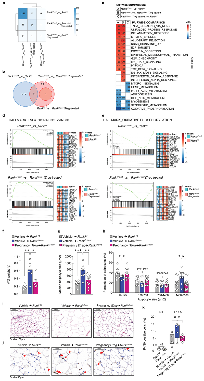 Extended Data Fig. 8