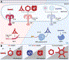 Figure 5: