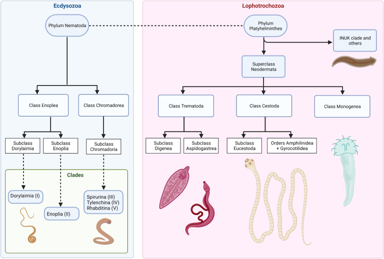 Fig. 4