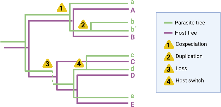 Fig. 3