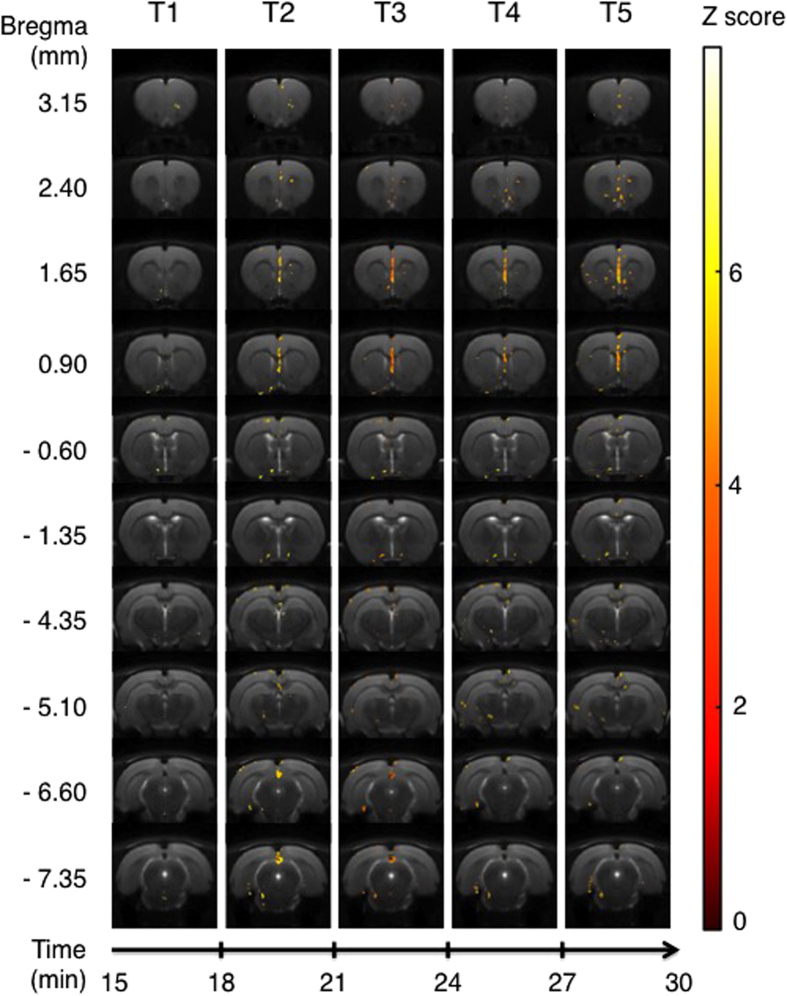 Figure 5