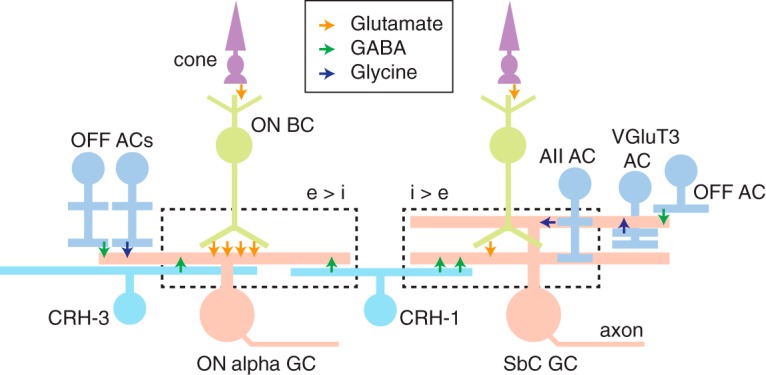 Figure 9.