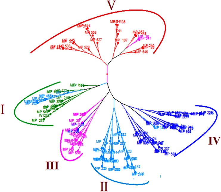 FIGURE 4