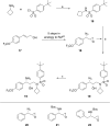Scheme 1