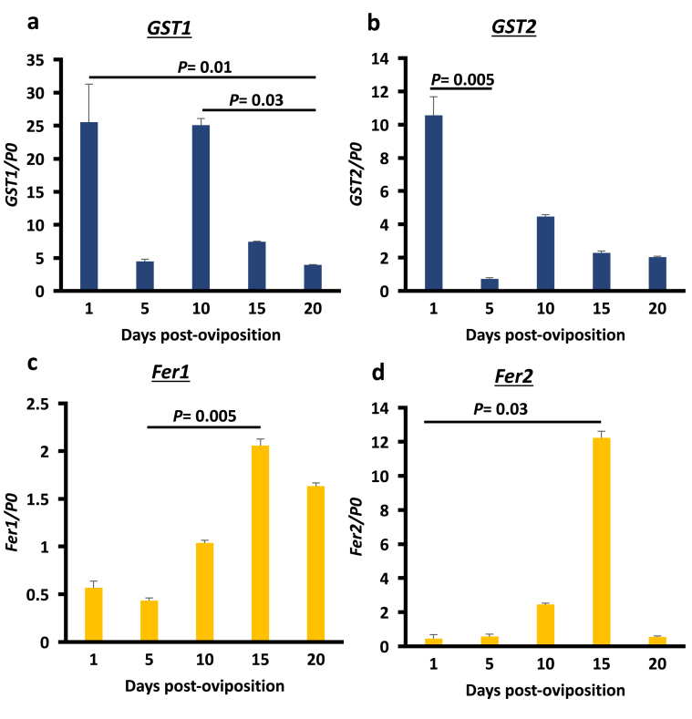 Figure 2