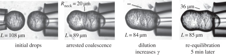 Figure 11.