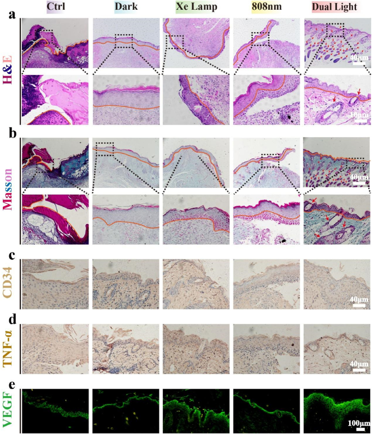 Fig. 8