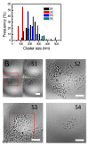 Figure 13