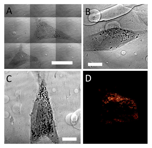 Figure 9