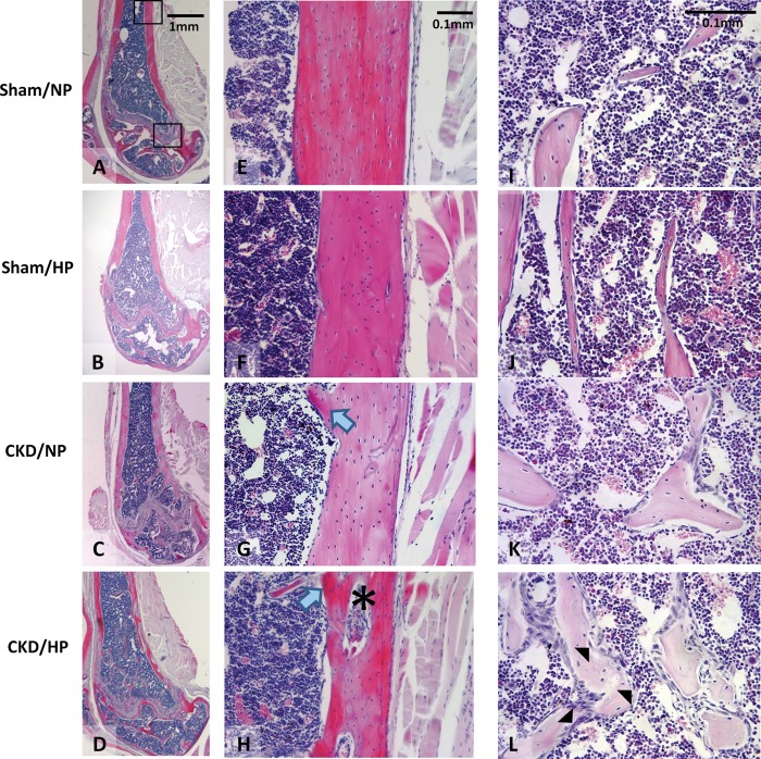 Fig. 4.