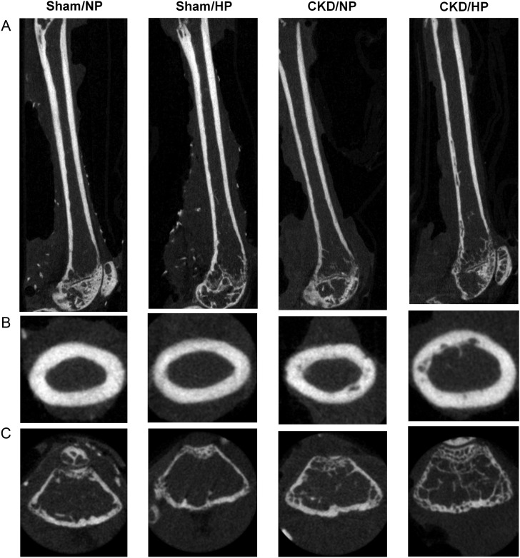 Fig. 2.