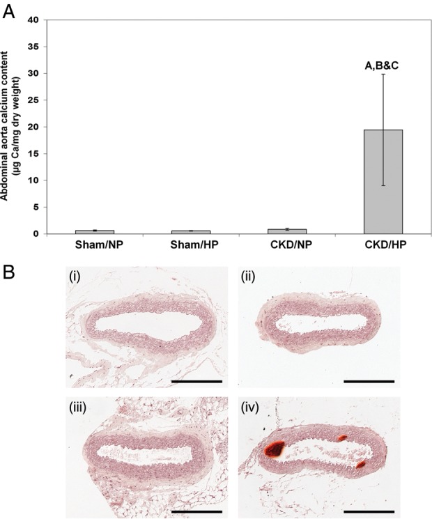 Fig. 1.