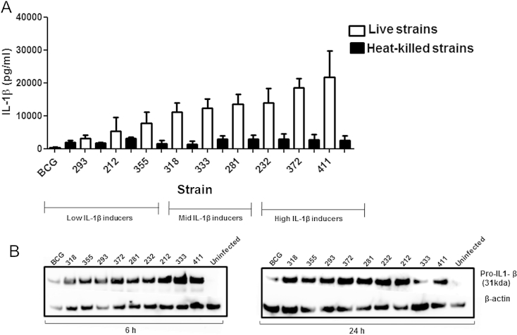 Figure 4