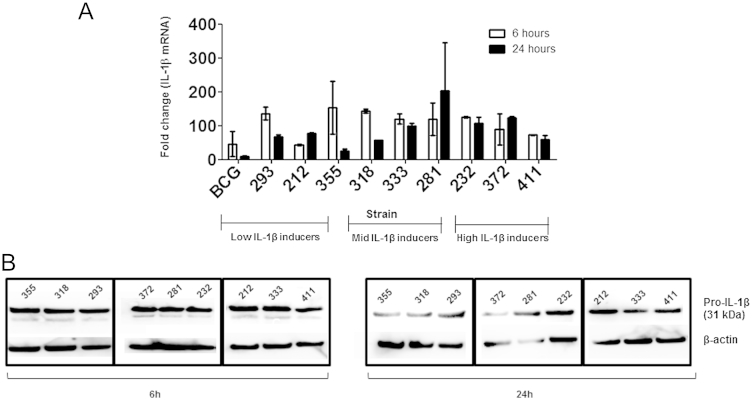 Figure 3