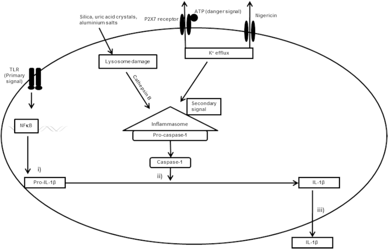 Figure 1