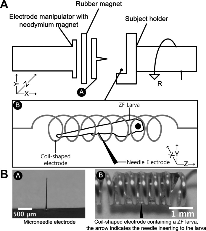 Fig. 2.