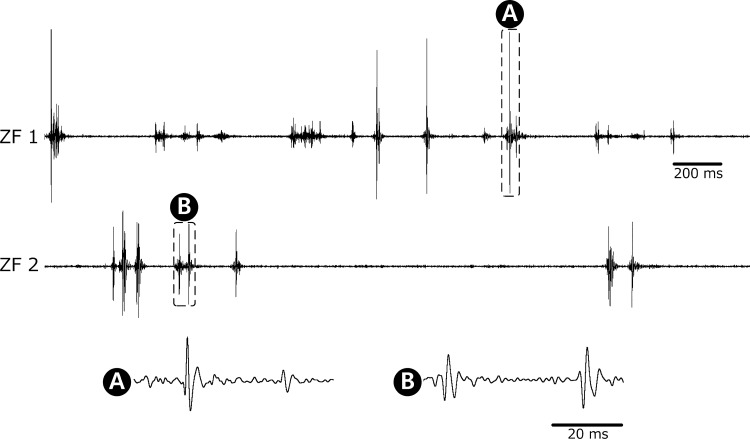 Fig. 6.