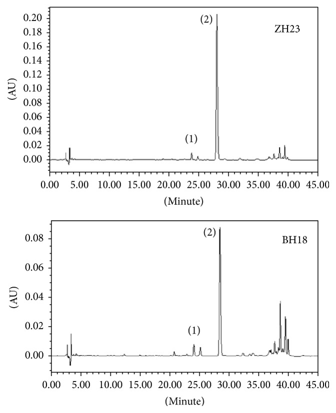 Figure 2