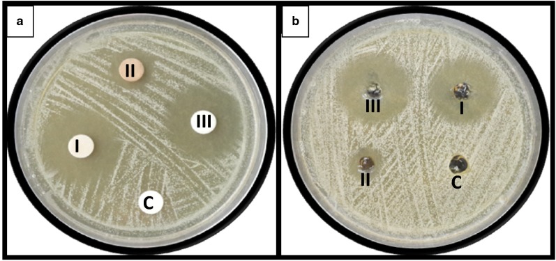 Fig. 3