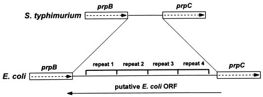 FIG. 9